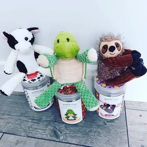 Scented Buddy Clip Bundle